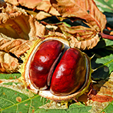 Jesienna impregnacja obuwia
